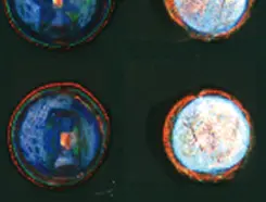 Presence of PIN